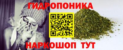 jwh Нальчик