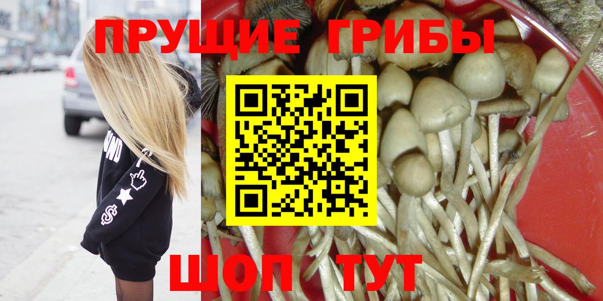 Псилоцибиновые грибы ЛСД  цена   Галлюциногенные грибы Psilocybine cubensis  Топки  Вход с VPN 